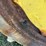 john-deere-mt-image-35