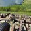 john-deered-25'-3-pt.-field-cultivator-with-hydraulic-lift-image-3