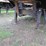 homemade-ta-image-28