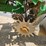 john-deere-1760-image-12