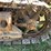 caterpillar-2-ton-image-32