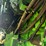john-deere-9870-sts-image-15
