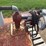 service-tank-with-pump-image-4