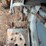kubota-l235-image-23