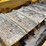 caterpillar-thirty-image-27