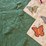 butterfly-applique-quilt-with-sage-green-border-image-4