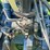 cushman-8hp-image-16