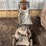 craftsman-6.5-horsepower-front-drive-walk-behind-lawn-mower-image-1
