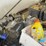#45019-•-lot-of-fluids-inv#45019-image-3