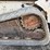 bobcat-864-image-19