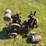 (2)-cushman-engines-image-5