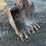 bobcat-e50-image-8