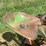 john-deere-a-image-31