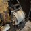 mwm-murphy-diesel-engine-image-14