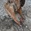 2017-bobcat-e26-image-8
