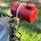 cushman-8hp-image-6