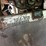 2007-bobcat-2300-image-16