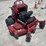 bigdog-alpha-mp-image-2