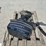 evinrude-motor-20-image-3