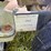 2022-koshin-kdp-80x-3in-portable-trash-pump-image-9