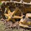 caterpillar-ten-image-40