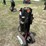 idrive-tds-2010h-projack-m2-electric-trailer-dolly-image-2
