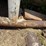 5,000-gallon-fuel-tank,-skidded-w/-pump-image-6