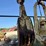 brewster-co-h-50-b-50-ton-3-sheave-block-hook-image-4