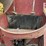 new-holland-355-image-10