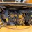 2016-caterpillar-305e2-image-31