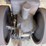 bean-special-cub-3-hp-engine-image-11