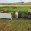 ford-f100-image-2