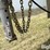 2020-hillsboro-32'-tri/a-aluminum-livestock-trailer-image-12