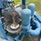 holland-4-in-image-29