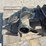 evinrude-motor-20-image-6