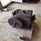 bean-special-cub-3-hp-engine-image-5