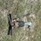 air-hammer-image-4