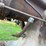 mccormick-6hp-project-image-16