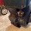 fairbanks-morse-2-1/2-hp-engine-image-7