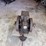 bean-special-cub-3-hp-engine-image-2