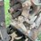 mccormick-6hp-project-image-18