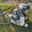 2022-koshin-kdp-80x-3in-portable-trash-pump-image-3