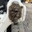 2023-bobcat-t76-image-11