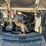 2021-bobcat-e26-image-7