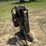 idrive-tds-2010h-projack-m2-electric-trailer-dolly-image-2