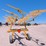 vermeer-vr1224-image-3