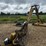 tiger-side-boom-mower-image-2