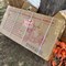 statewide-texas-government-truck-&-equipment-timed-online-auction-image-6