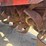 john-deere-5220-image-20