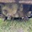 blue-diamond-skid-steer-rock-crusher-image-9
